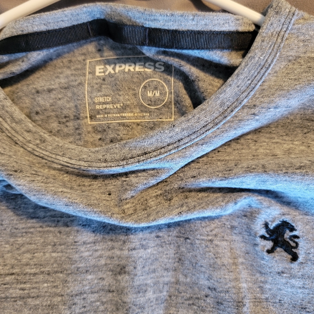 Mens Express tshirt gray